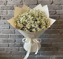 Букет цветов из:  Ромашки в Первомайском Забайкальского края