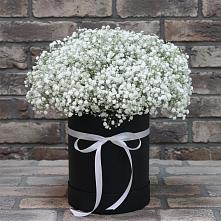 Цветочная композиция из Гипсофила в шляпной коробке #REPLACE_PRED# Первомайском Забайкальского края