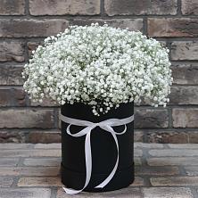 Цветочная композиция из Гипсофила в шляпной коробке в Первомайском Забайкальского края