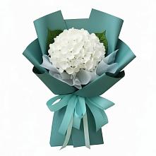 Букет цветов из:  Гортензия в Первомайском Забайкальского края